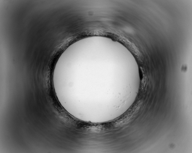 X0000103410306200810101002