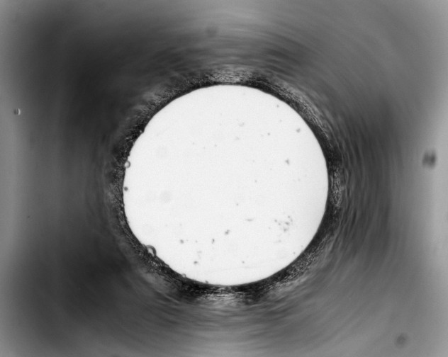 X0000103410307200810101002