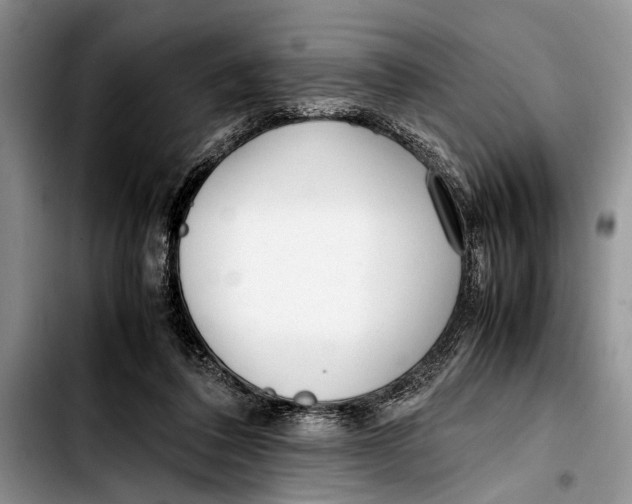 X0000103410308200810101002