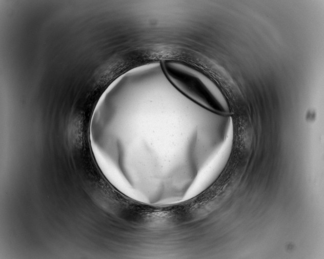 X0000103410312200810101002