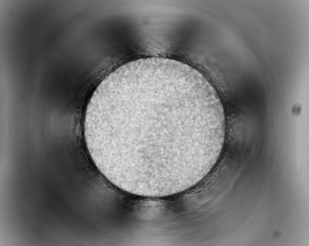 X0000103410313200810101002