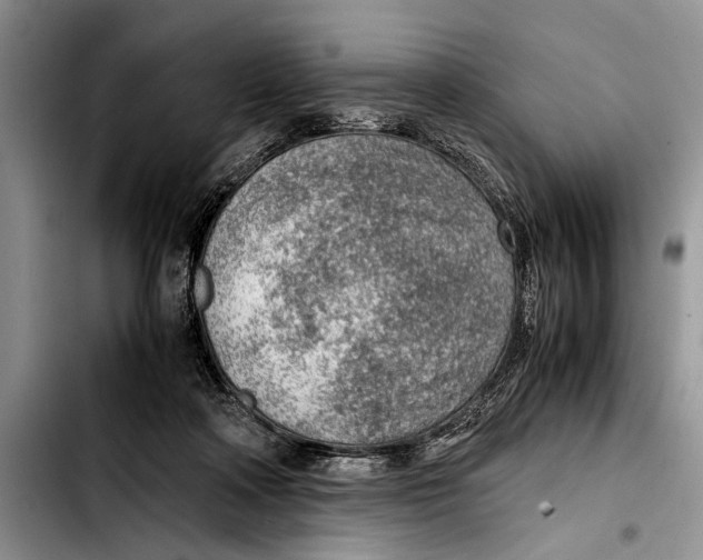 X0000103410314200810101002