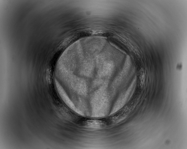 X0000103410316200810101002