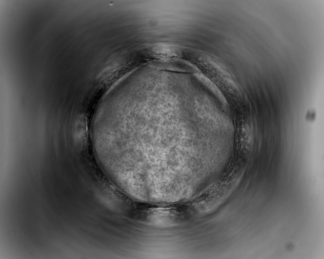 X0000103410320200810101002