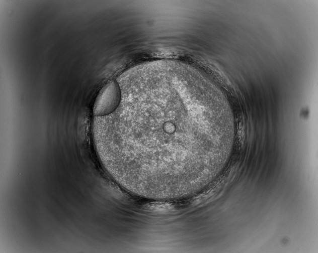 X0000103410322200810101002