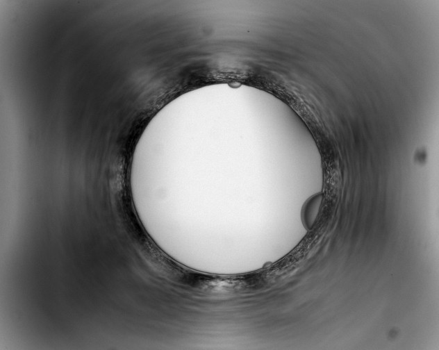 X0000103410323200810101002