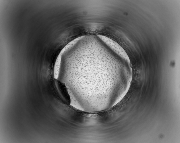 X0000103410324200810101002