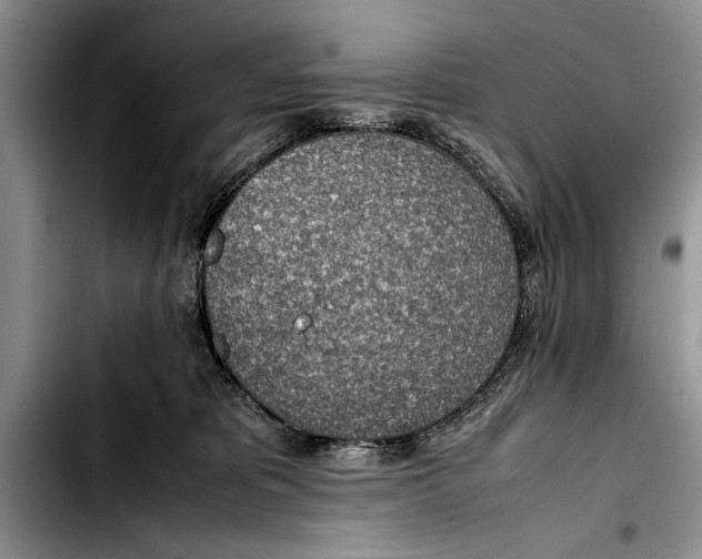 X0000103410325200810101002