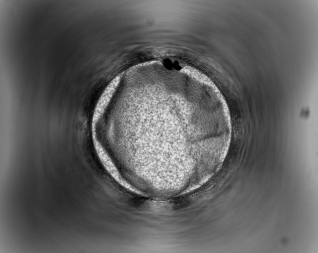 X0000103410327200810101002