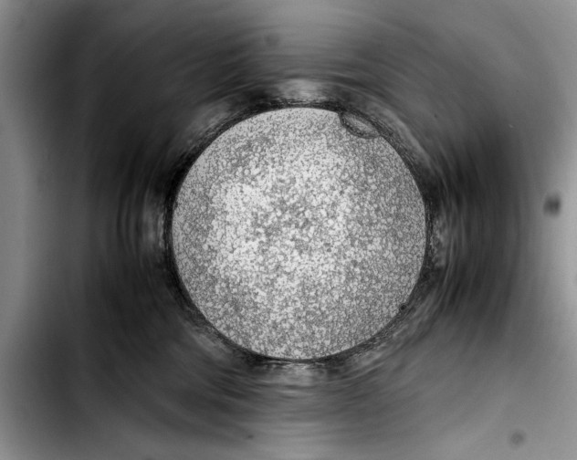 X0000103410330200810101002