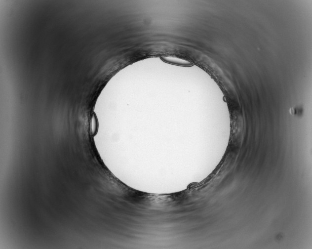 X0000103410333200810101002