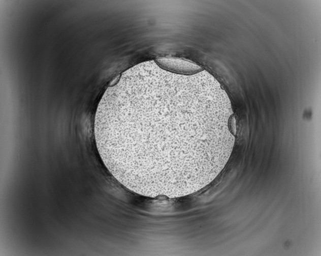 X0000103410335200810101002