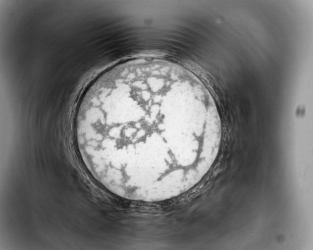 X0000103410337200810101001