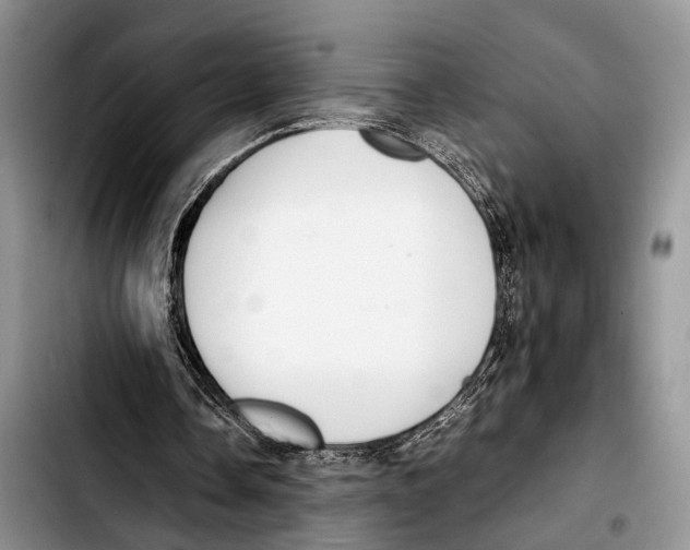 X0000103410338200810101001