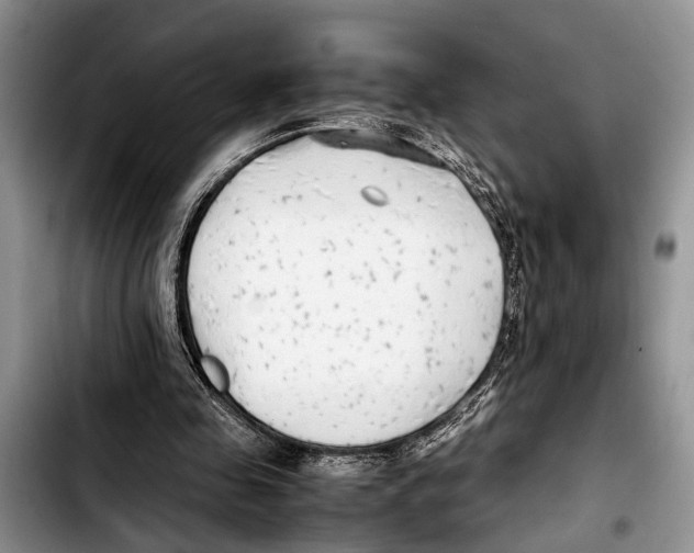 X0000103410341200810101001