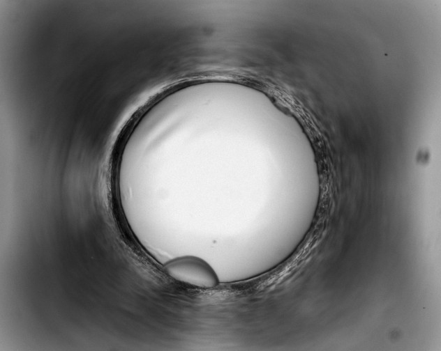 X0000103410342200810101001