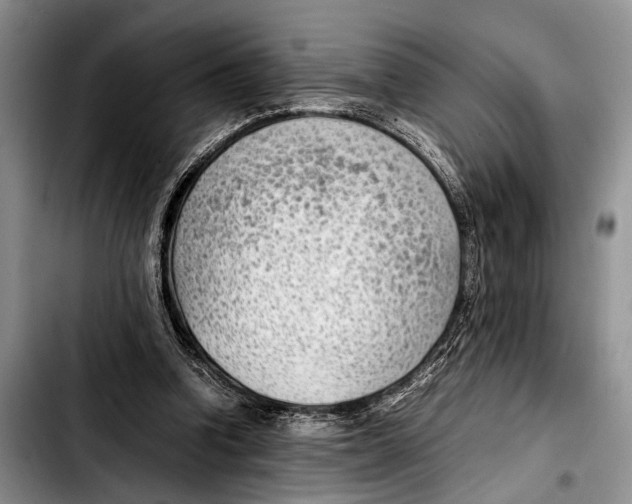 X0000103410346200810101001