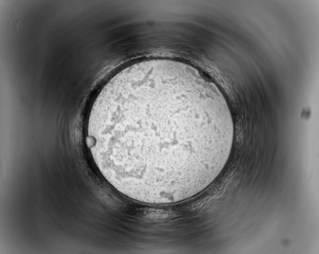 X0000103410347200810101001