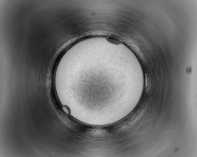 X0000103410348200810101001