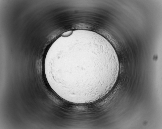 X0000103410349200810101001