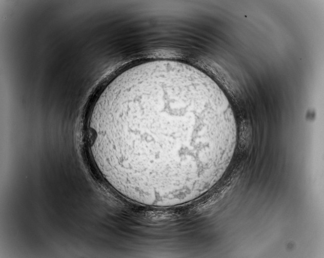 X0000103410351200810101002