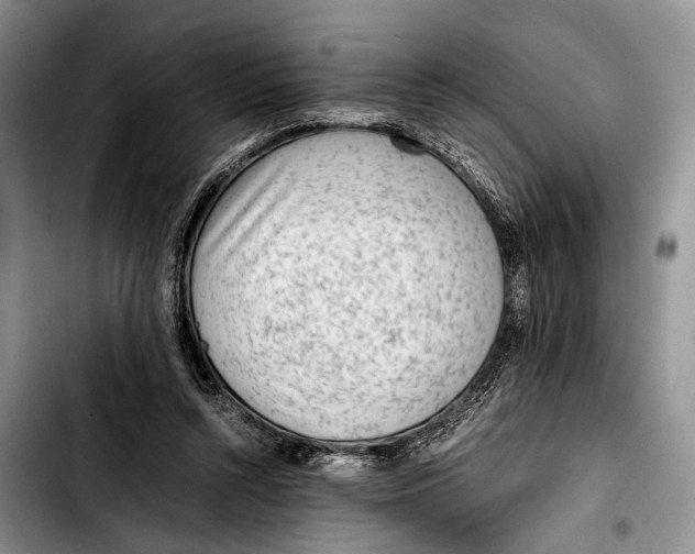 X0000103410352200810101002