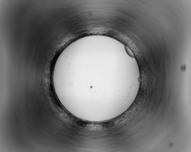 X0000103410354200810101002