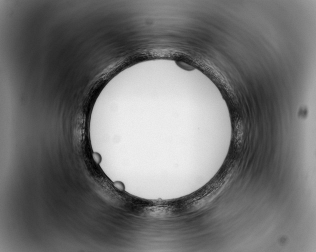 X0000103410356200810101002