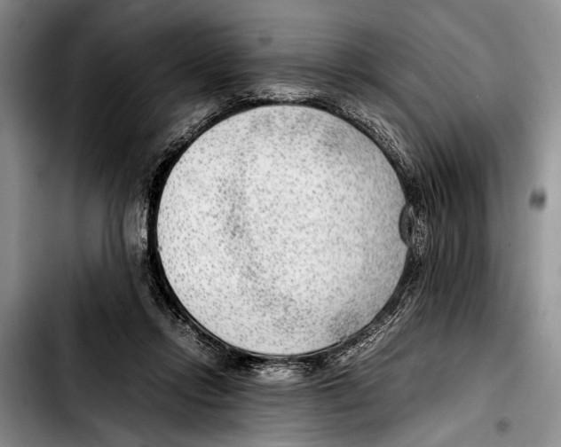 X0000103410358200810101002