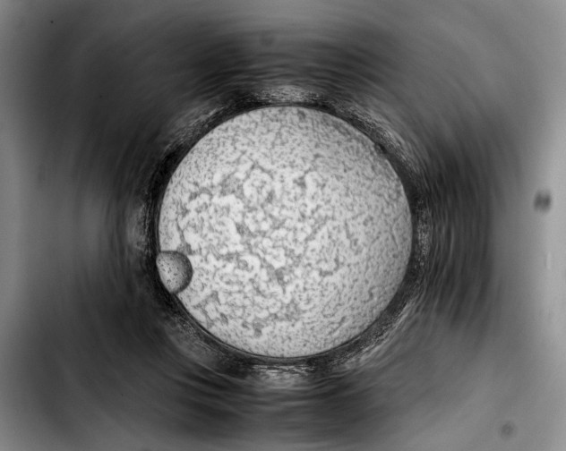 X0000103410359200810101002