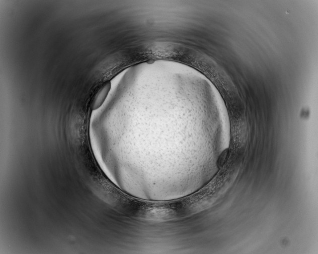 X0000103410360200810101002