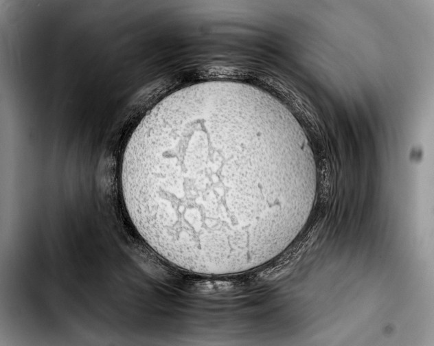 X0000103410361200810101002