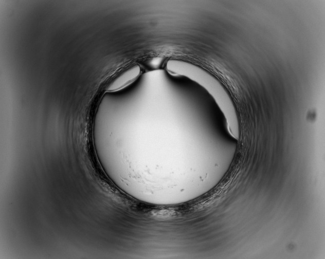 X0000103410362200810101002