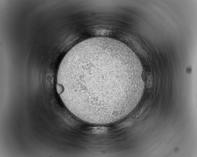 X0000103410363200810101002