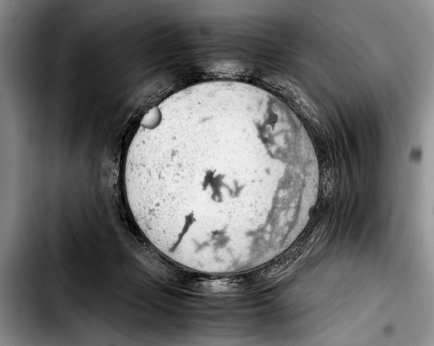 X0000103410365200810101002