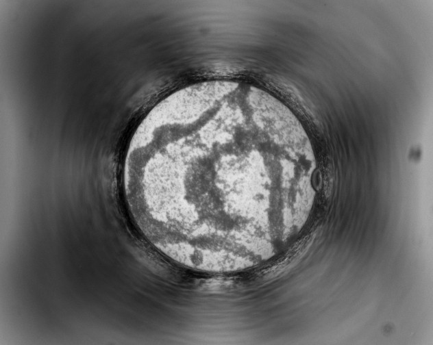 X0000103410366200810101002