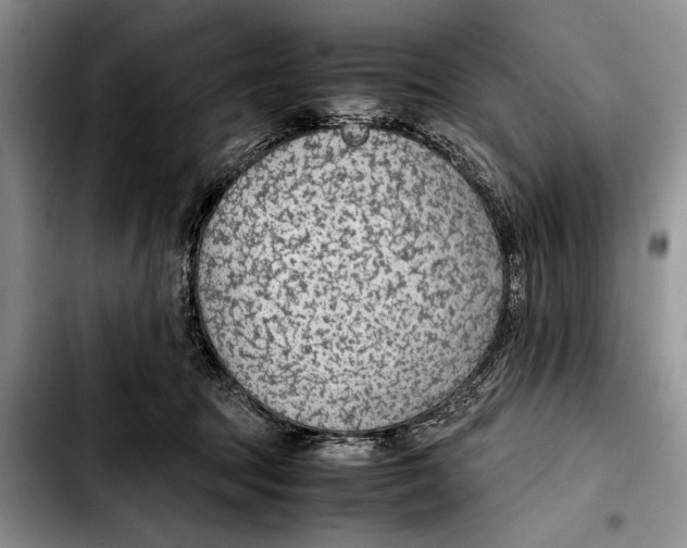 X0000103410369200810101002