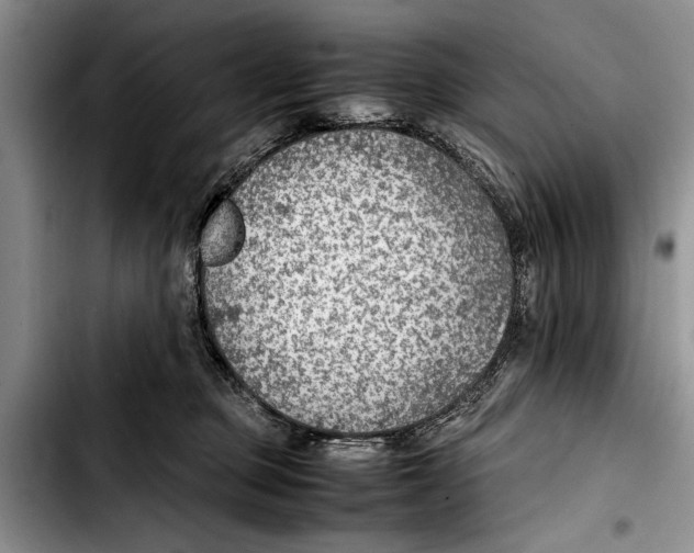 X0000103410373200810101002