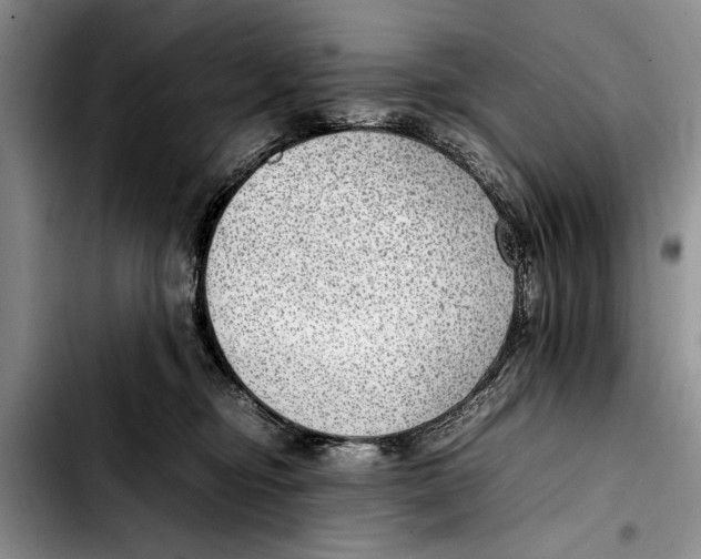 X0000103410374200810101002