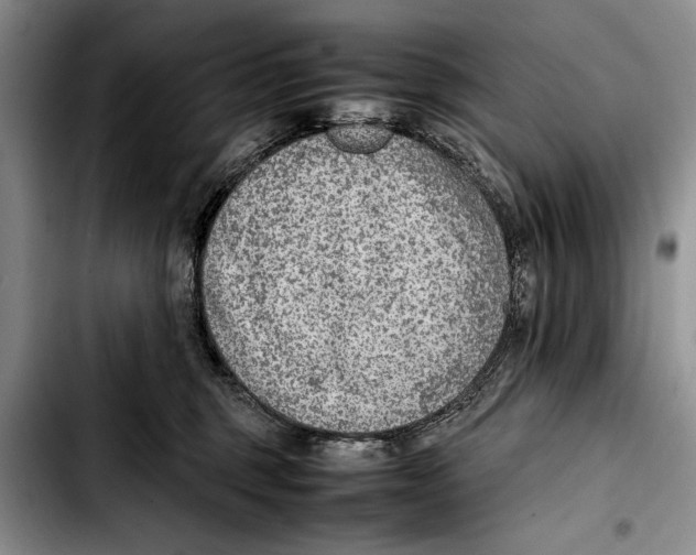 X0000103410375200810101002