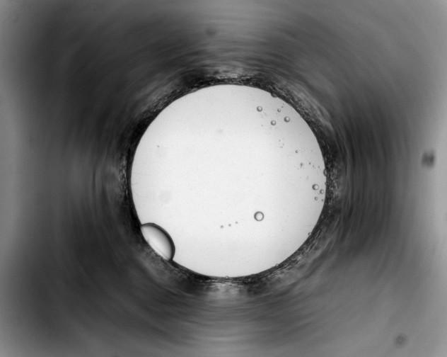 X0000103410376200810101002