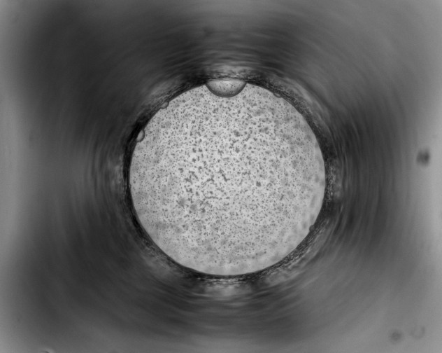 X0000103410377200810101002