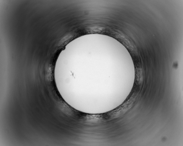 X0000103410378200810101002