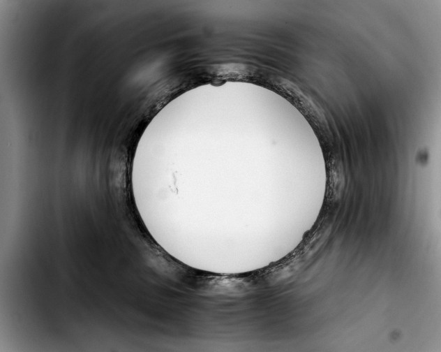 X0000103410379200810101002