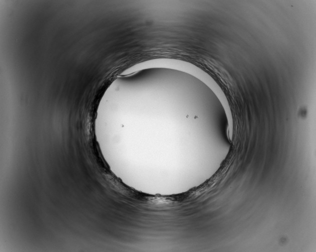 X0000103410380200810101002