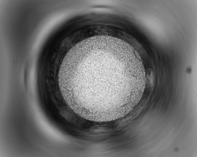 X0000103410381200810101002