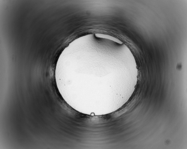 X0000103410382200810101002