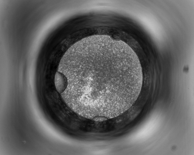 X0000103410383200810101002