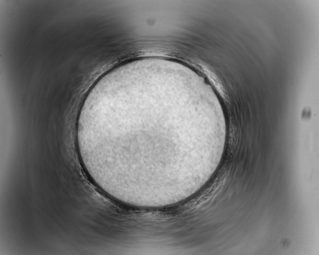 X0000103410385200810101001