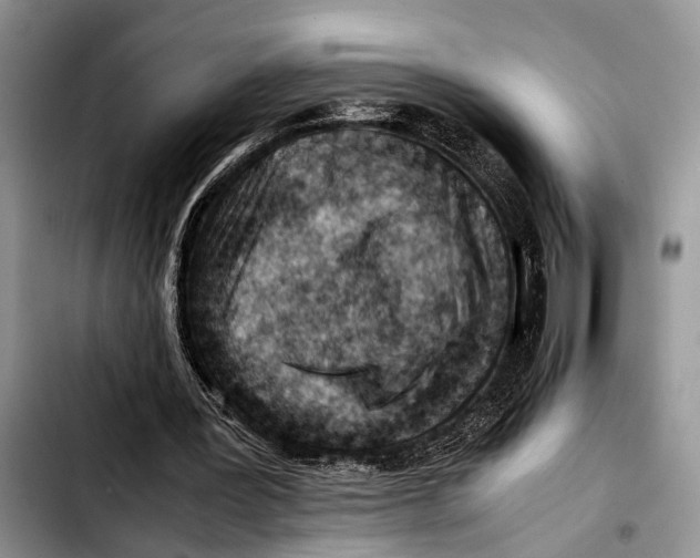 X0000103410387200810101001